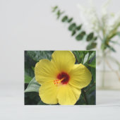 Gelber Hibiskus Postkarte (Stehend Vorderseite)