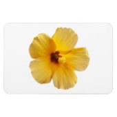 Gelber Hibiskus Tropische Blume Blume Magnet (Horizontal)