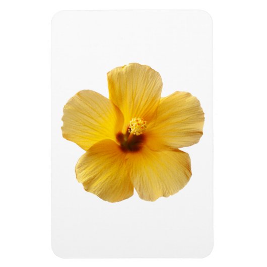 Gelber Hibiskus Tropische Blume Blume Magnet (Vertikal)