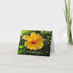 Gelber Hibiskus Tropisches Denken auf Ihrer Karte
