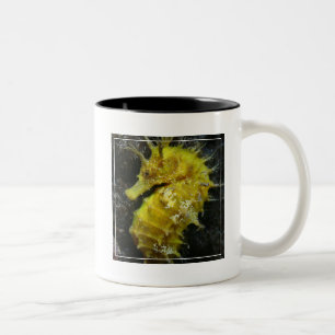 Gelber Hippokamp Guttulatus des Seepferd-  Zweifarbige Tasse