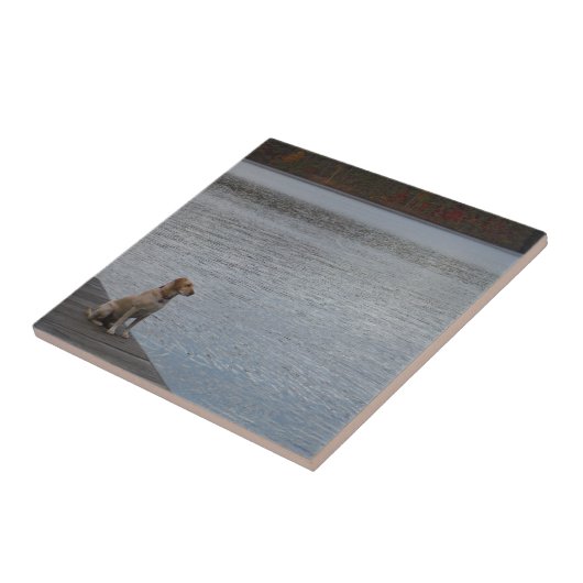 Gelber Hund auf Dock Fliese (Seite)