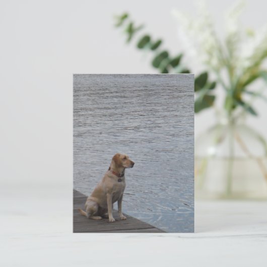 Gelber Hund auf Dock Postkarte (Stehend Vorderseite)