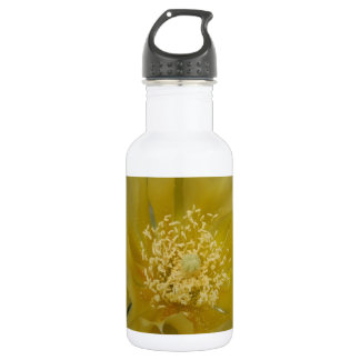 Gelber Kaktus in der Blüte Trinkflasche