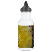 Gelber Kaktus in der Blüte Trinkflasche (Rechts)