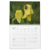 Gelber Kalender für 2013 (Mär 2027)