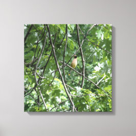 Gelber Kardinal Leinwanddruck