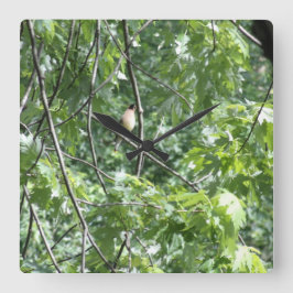 Gelber Kardinal Quadratische Wanduhr