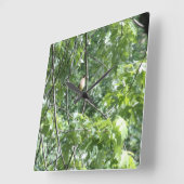 Gelber Kardinal Quadratische Wanduhr (Winkel)