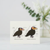 Gelber-Kopf-Greater / Lesser Postkarte (Stehend Vorderseite)