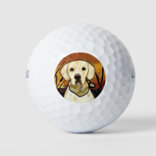 GELBER LAB GOLFBALL