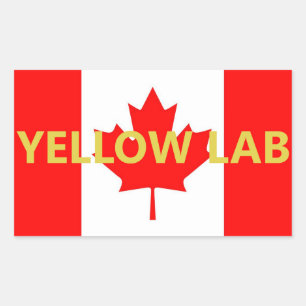 Gelber Lab Name Auf Flagge Rechteckiger Aufkleber