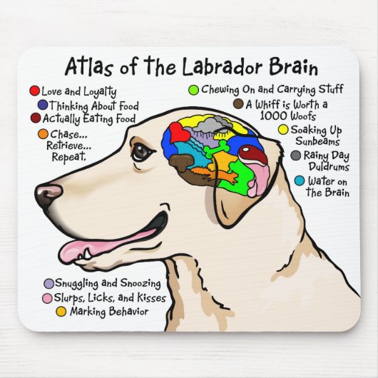 Gelber Labrador-Gehirn-Atlas Mousepad (Vorne)