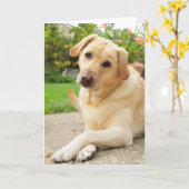 Gelber Labrador-Hund Karte (Gelbe Blume)