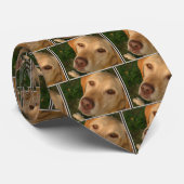 Gelber Labrador Krawatte (Gerollt)