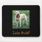 Gelber Labrador, Labrador-Regel! Mousepad (Vorne)
