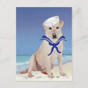 Gelber Labrador Matrose Postkarte