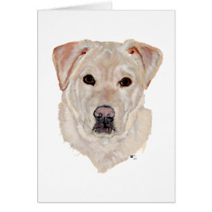 Gelber Labrador Retriever