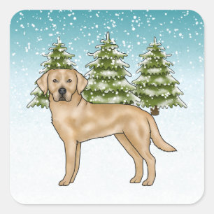 Gelber Labrador Retriever Blaue Verschneite Winter Quadratischer Aufkleber