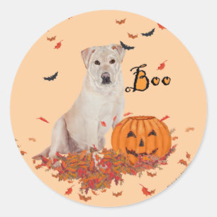 Gelber Labrador Retriever Boo! Runder Aufkleber