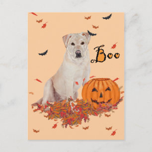 Gelber Labrador Retriever Halloween Postkarte