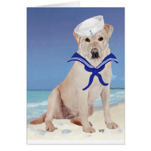 Gelber Labrador Retriever Matrose