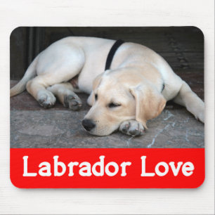 Gelber Labrador Retriever Welpe Hund - Gelber Lab Mousepad