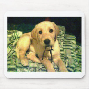 gelber labrador retriever-Welpe Mousepad