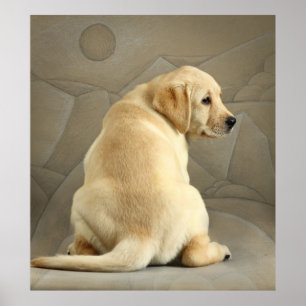 Gelber Labrador retriever-Welpe Poster