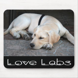 Gelber Labrador Retriever Welpen-Mauspad Mousepad