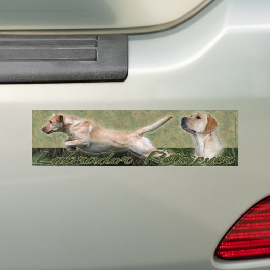 Gelber Labrador-Retrievercollage Autoaufkleber (Auf Auto)