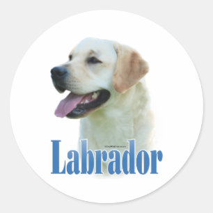 Gelber Labrador retrievernamensaufkleber Runder Aufkleber