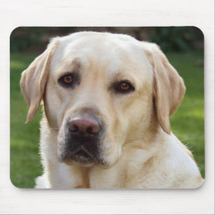 Gelber Labrador Rückkehrer Welpenhund - Gelbe Lab Mousepad