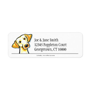 Gelber Labrador sauber u. einfach
