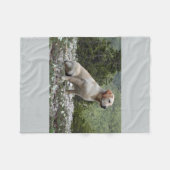 gelber Labrador sitting.png Fleecedecke (Vorderseite (Horizontal))