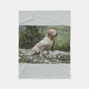 gelber Labrador sitting.png Fleecedecke