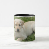 Gelber Labrador Tasse (Zentrum)