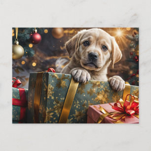 Gelber Labrador-Welpe Weihnachten