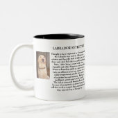 Gelber Labrador Zweifarbige Tasse (Links)