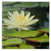 Gelber Lotus-Lotus-Blossom (Fotograf) Fliese (Vorderseite)