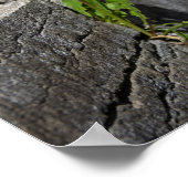 Gelber Löwenzahn im Frühling Poster (Ecke)