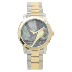 Gelber Lutino Ring Necked Parakeet in einem Baum Armbanduhr