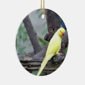 Gelber Lutino RingNecked Parakeet in einem Baum Keramikornament (Rechts)