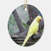 Gelber Lutino RingNecked Parakeet in einem Baum Keramikornament (Links)