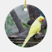 Gelber Lutino RingNecked Parakeet in einem Baum Keramikornament (Hinten)