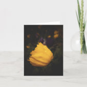 Gelber Mohn (Vorderseite)