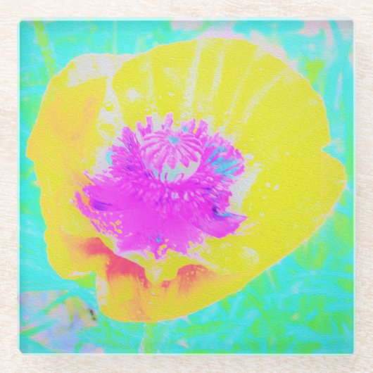 Gelber Mohn mit Hot-Pink-Mitte auf Türkis Glasuntersetzer (Vorderseite)