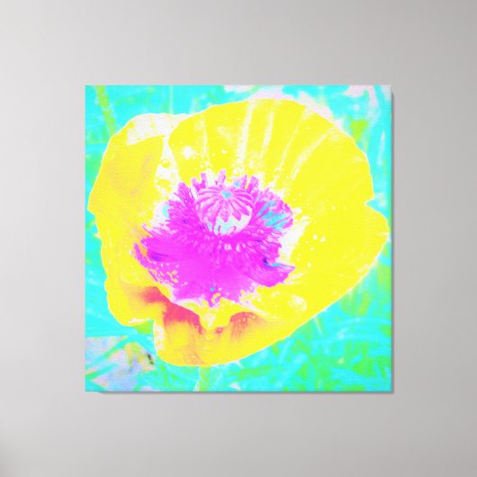 Gelber Mohn mit Hot-Pink-Mitte auf Türkis Leinwanddruck (Vorderseite)
