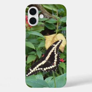 Gelber Monarch und Blume in Florida iPhone 16 Plus Hülle