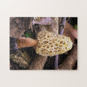 Gelber Morchel-Pilz Puzzle (Horizontal)